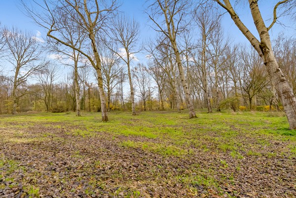 KOLKGRIEND 21-65.jpg